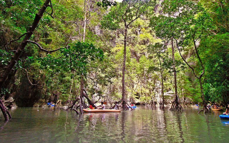 Khao Sok nationalpark