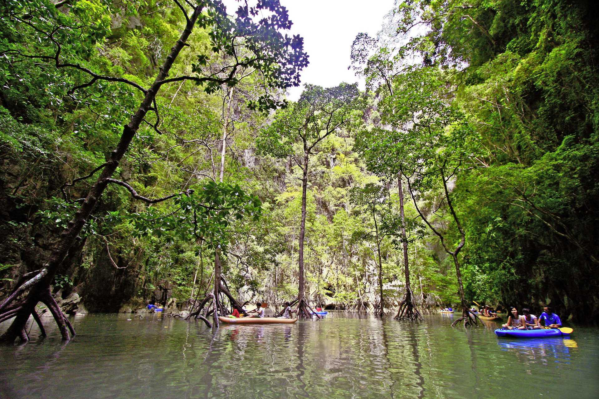 Khao Sok nationalpark