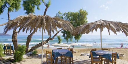 Stranden ved hotel Kato Stalos Mare på Kreta, Grækenland.