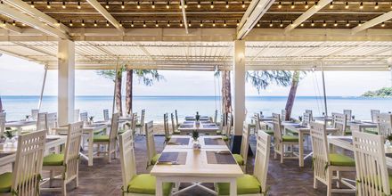 Restaurant Beach Club på Khaolak Emerald Beach Resort