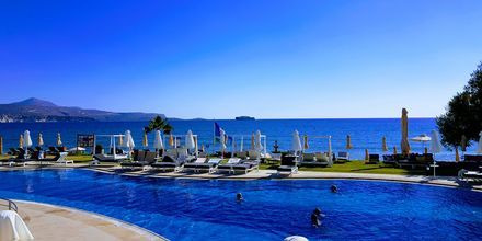 Poolområdet på Kiani Beach Resort, Kalives, Kreta.