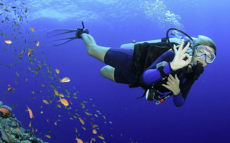 Dykkercertifikat - Open Water Diver