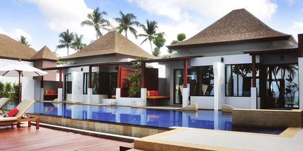 Bungalow med delt pool på Lanta Sand Resort & Spa på Koh Lanta, Thailand.