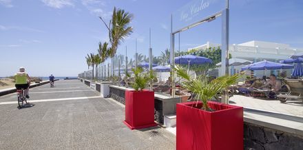 Strandpromenaden ved hotel Las Costas i Puerto del Carmen på Lanzarote