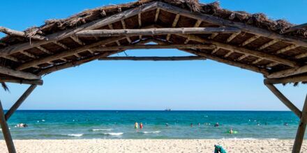 Les Orangers Beach Resort - vinter 23/24 og sommer 2024