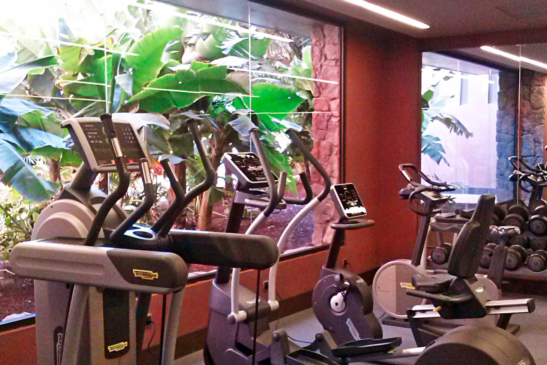 Fitnessrummet på Lopesan Baobab Resort i Meloneras, Gran Canaria.