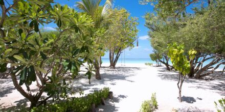 LUX South Ari Atoll Resorts & Villas