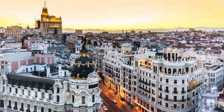 En weekend i Madrid er for de fleste - madelskere, fodboldnørder, kunstinteresserede og shoppinglystne.