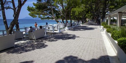 Havnepromenaden i Makarska på Makarska Riviera, Kroatien.