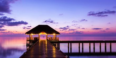 Smukke island resorts på Maldiverne