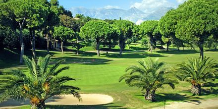 I Marbellas nærområde er der mange golfbaner.