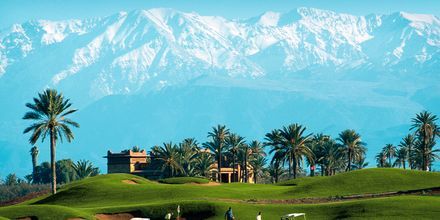 Golfbane i Marrakech, Marokko.