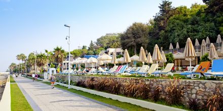 Strandpromenade på hotel Melas Resort i Side, Tyrkiet.