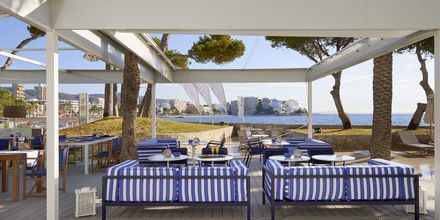 Beachclub og restaurant på hotel Melia Antillas Calvia Beach, Mallorca