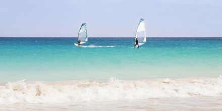 Windsurfing ved Santa Maria Beach på Sal, Kap Verde