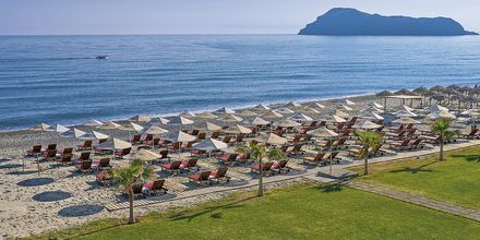 Stranden ved hotel Minoa Palace Resort & Spa i Platanias på Kreta, Grækenland.