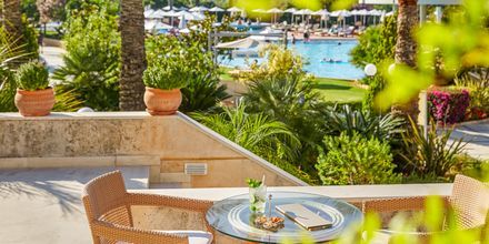 Hotel Minoa Palace Resort & Spa i Platanias på Kreta, Grækenland.