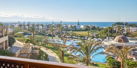 Dobbeltværelser på hotel Minoa Palace Resort & Spa i Platanias på Kreta, Grækenland.