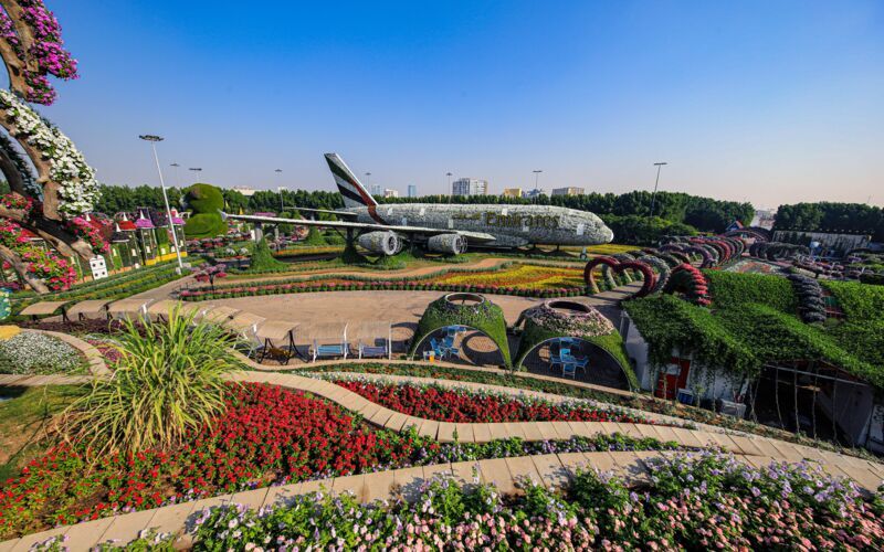 Miracle Garden