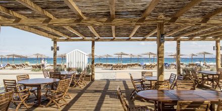 Strandbar på hotel Mitsis Ramira Beach Hotel i Psalidi, Kos.