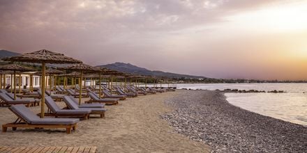 Stranden ved Mitsis Ramira Beach Hotel i Psalidi på Kos.