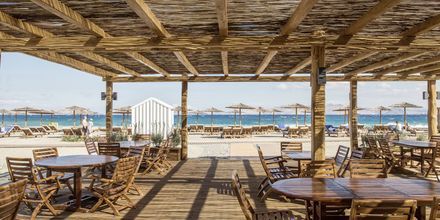 Strandbar på Mitsis Ramira Beach Hotel i Psalidi på Kos.