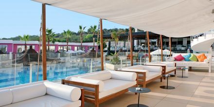Andama Bar på Napa Mermaid Hotel & Suites i Ayia Napa, Cypern.