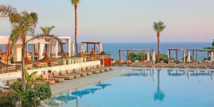 Poolområde på Napa Mermaid Hotel & Suites i Ayia Napa, Cypern.