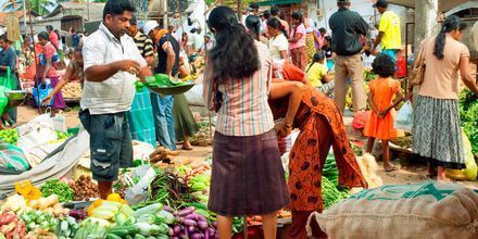 Marked på Negombo på Sri Lanka