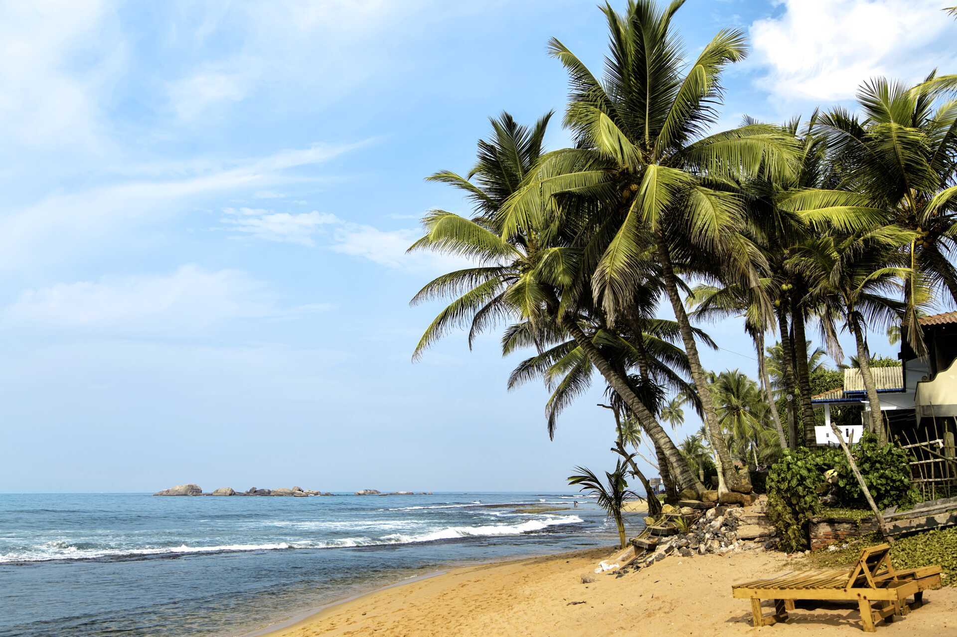 Stranden på Negombo på Sri Lanka