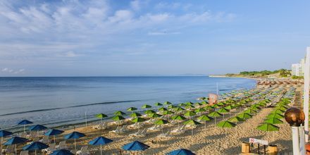Stranden i Nessebar, Bulgarien.
