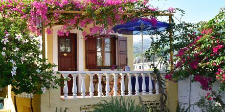 Hotel Olympia Village i Kokkari på Samos, Grækenland