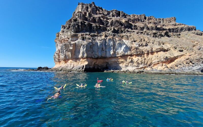 Oplev livet under overfladen - Snorkling for alle