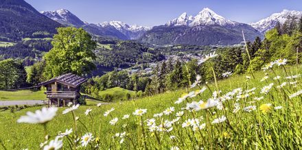 Østrig ligger i hjertet af Centraleuropa og tilbyder fantastisk natur.