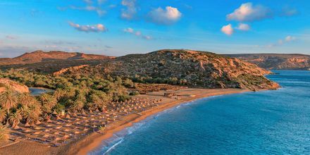 Vai-stranden ca 15 km nordøst fra Sitia på Kreta, Grækenland.
