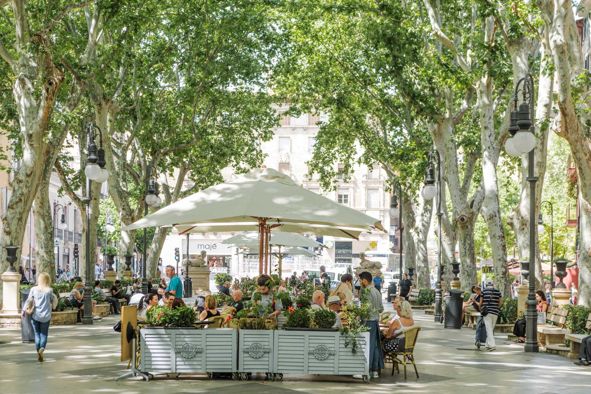 Passeig del Barn i Palma by, Mallorca.