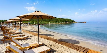 Stranden ved Hotel Paradise Ammoudia i Grækenland.