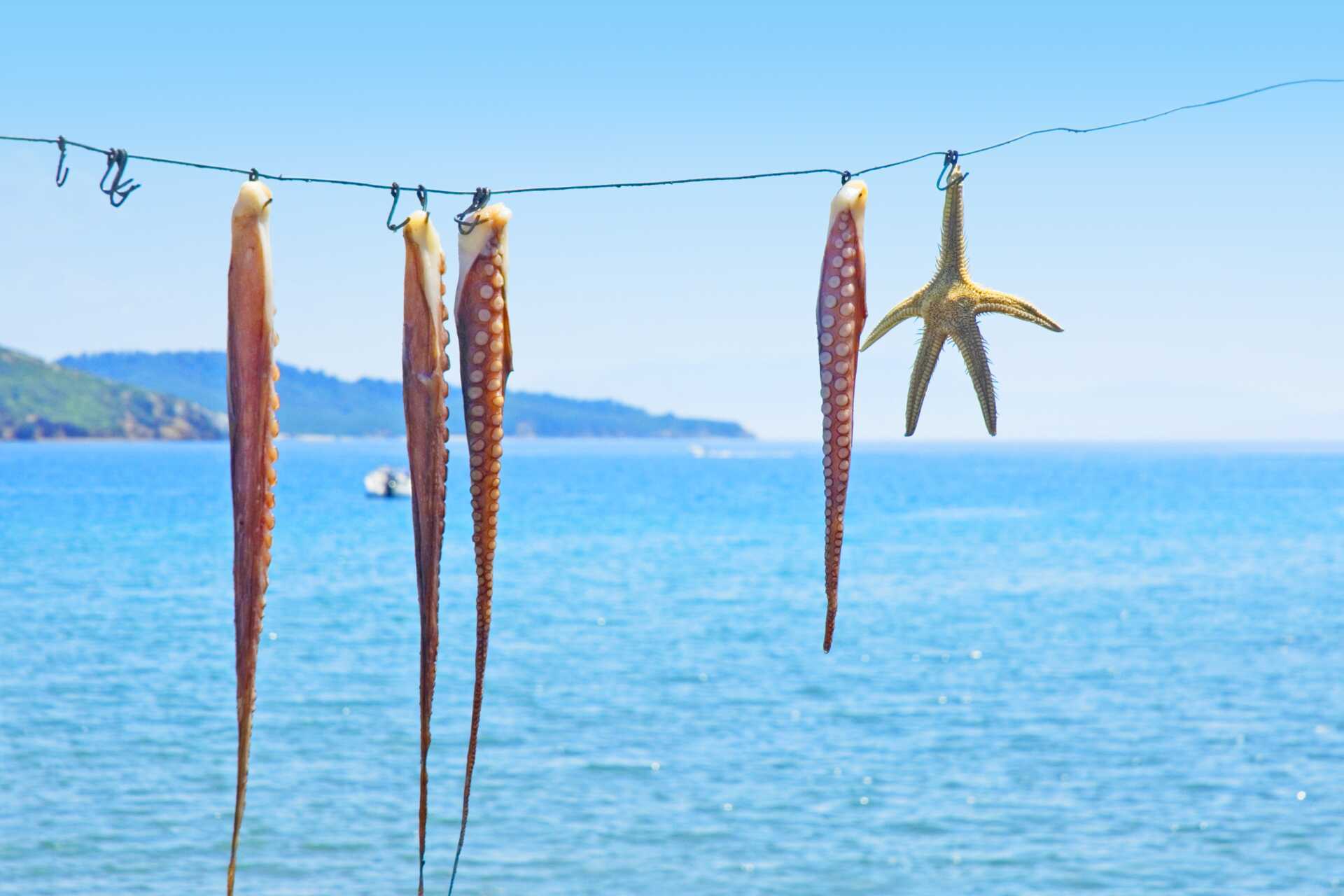 Megali Ammos på Skiathos, Grækenland.