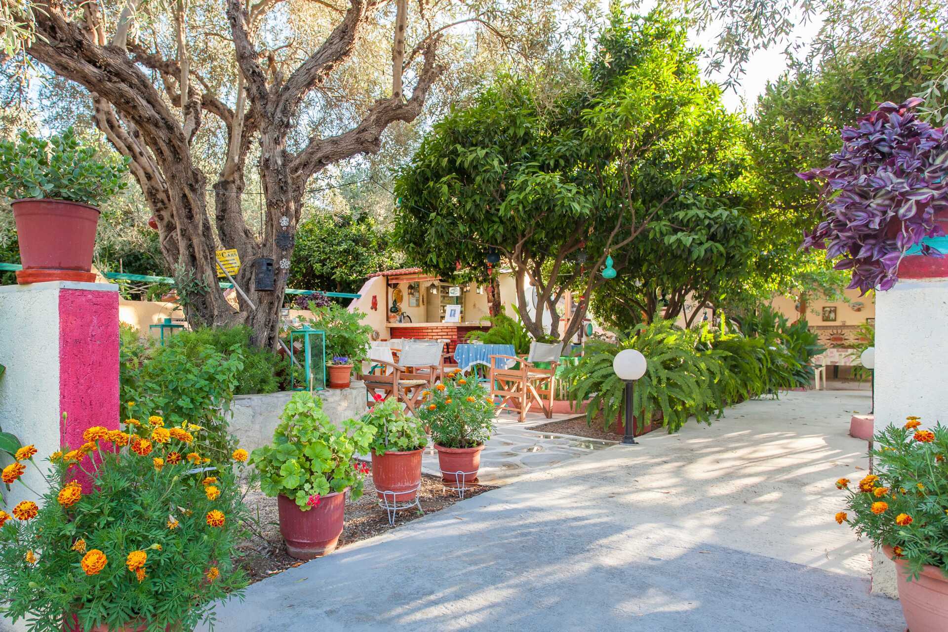 Pension Soula på Skopelos i Grækenland.