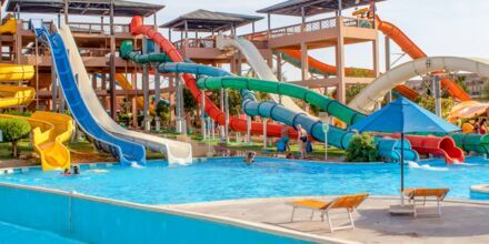 Pickalbatros Water Valley Resort – Neverland