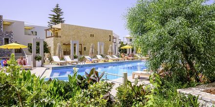 Poolområde på Hotel Platanias Mare på Kreta, Grækenland.