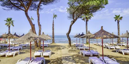 Stranden ved Prestige Resort, Durres Riviera i Albanien.