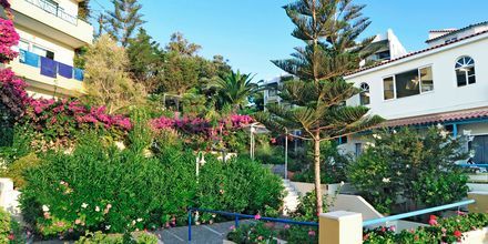 Hotel Rethymno Mare Resort på Kreta, Grækenland.