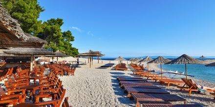 Strand ved Buba Beach Bar ved Hotel Apollo Mondo Family Romana i Kroatien.
