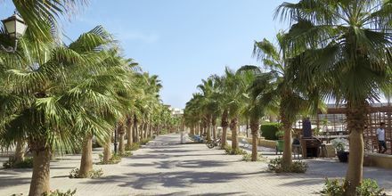 Strandpromenaden i Sahl Hasheesh, Egypten.