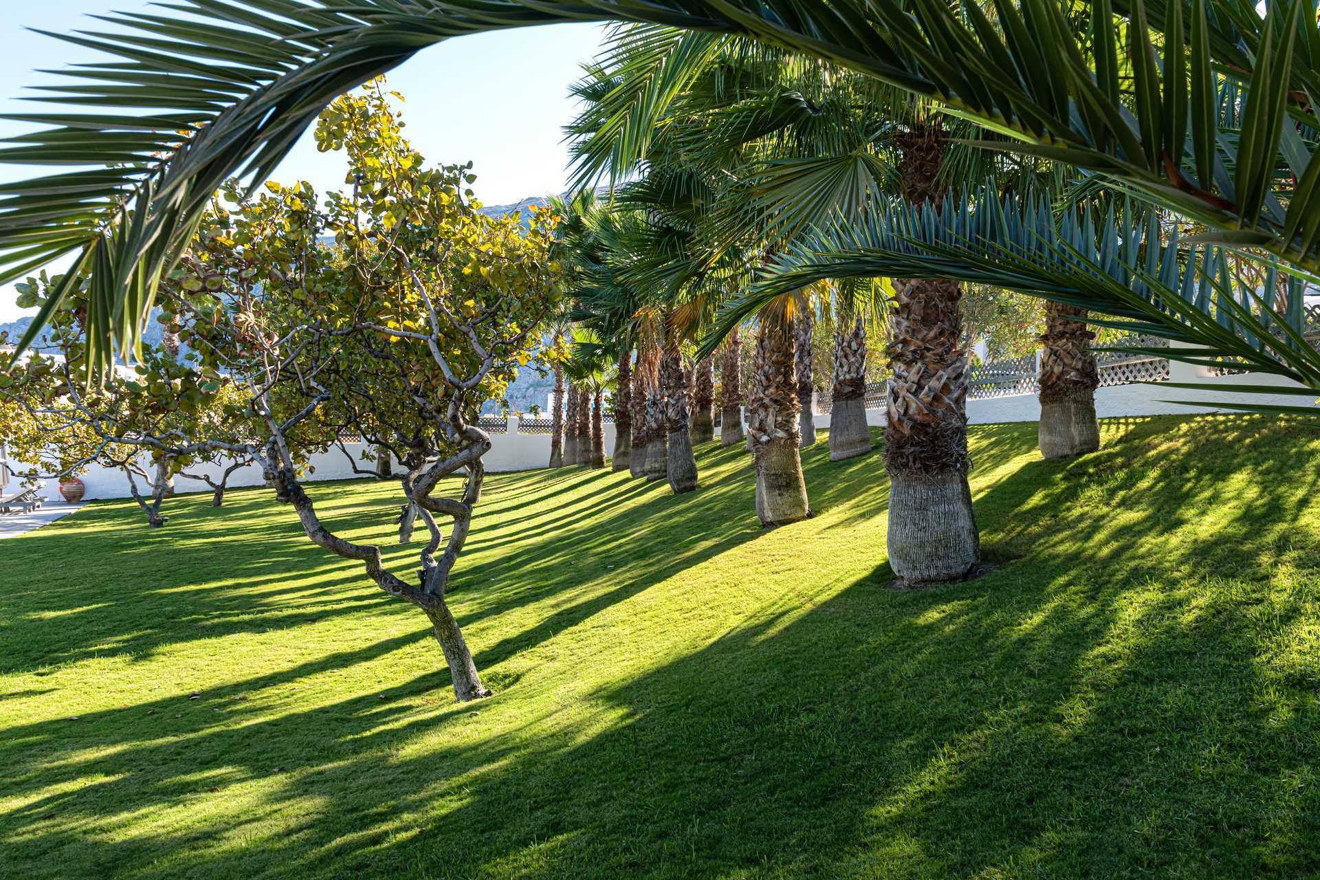 Grønne områder på Santorini Kastelli Resort i Santorini, Grækenland.