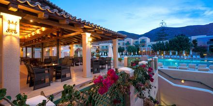 Hotel Silva Beach i Hersonissos på Kreta, Grækenland