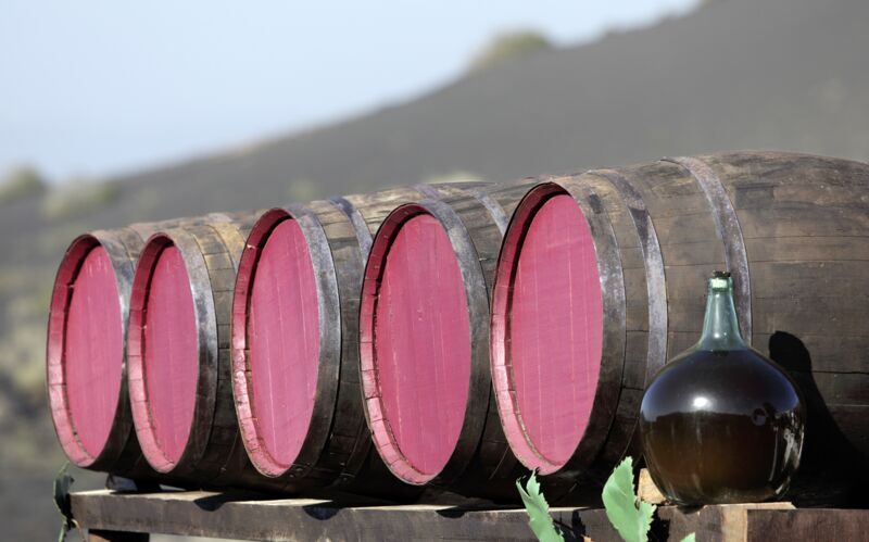 Vinsmagning