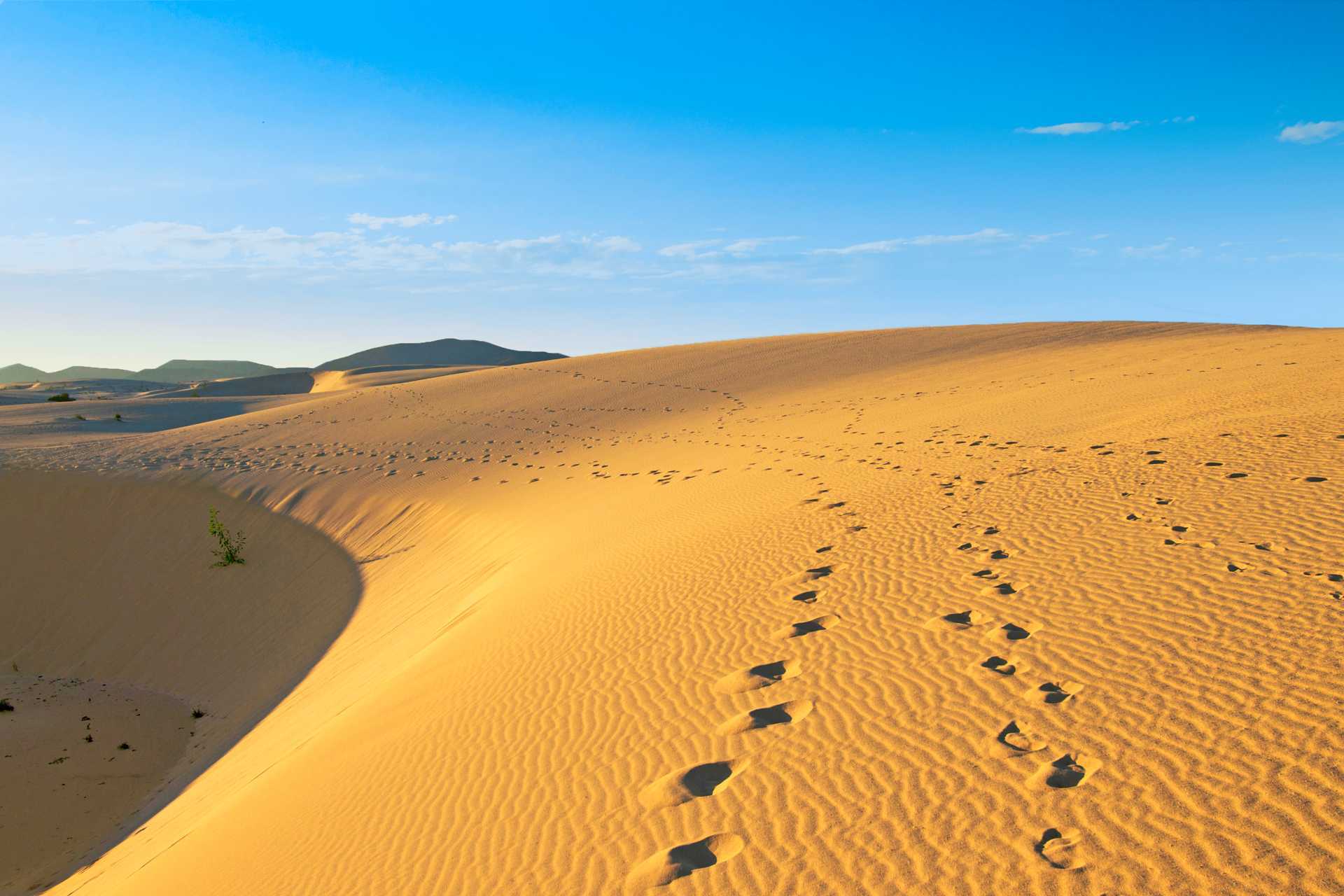 Skønne Fuerteventura