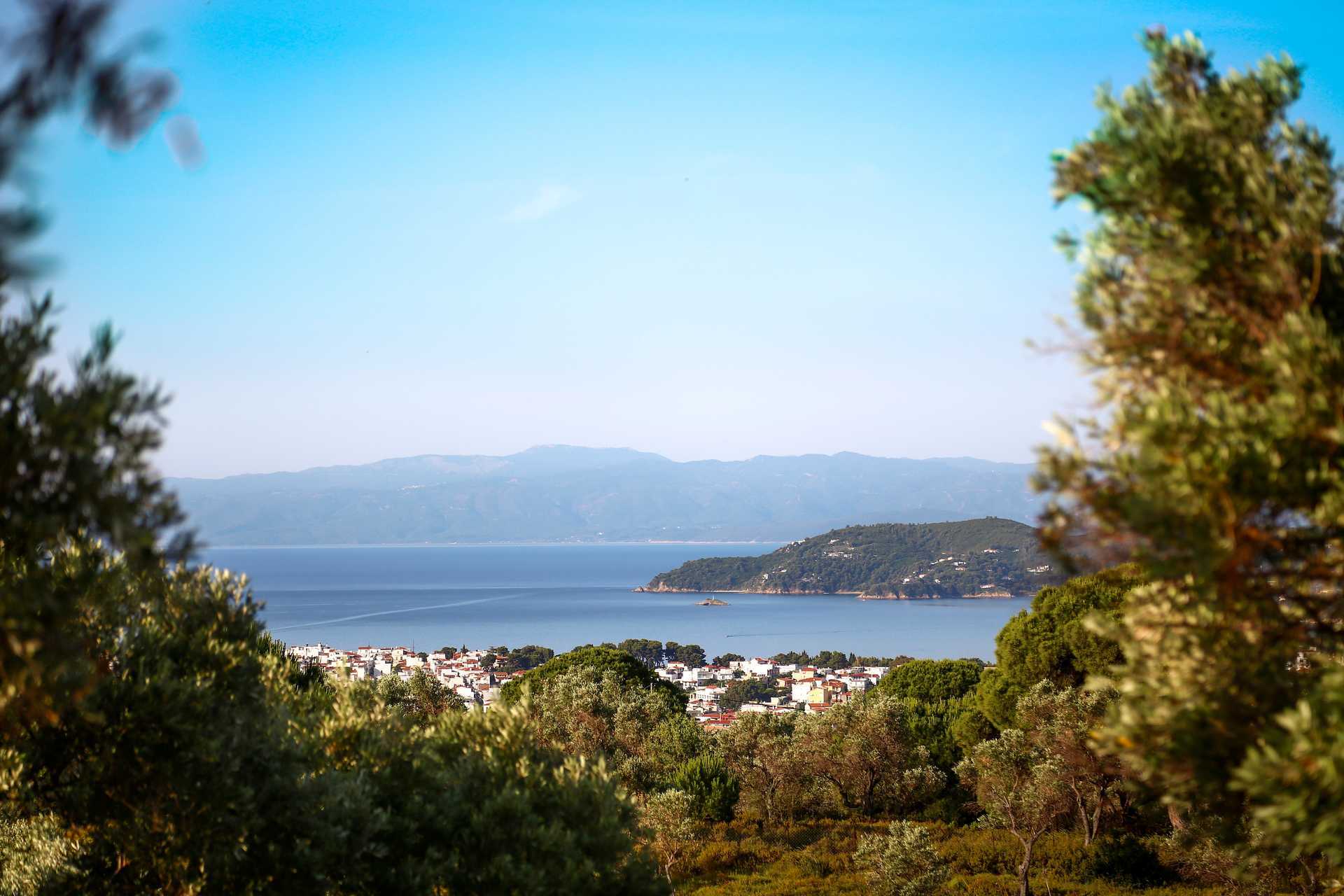 Smagen af Skiathos & Gør en hund glad